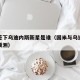 国米签下乌迪内斯新星是谁（国米与乌迪内斯比分预测）