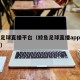 鲸鱼足球直播平台（鲸鱼足球直播app官方下载）