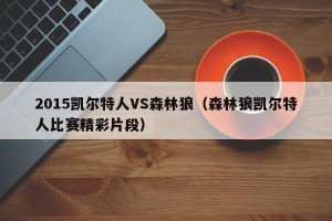 2015凯尔特人VS森林狼（森林狼凯尔特人比赛精彩片段）