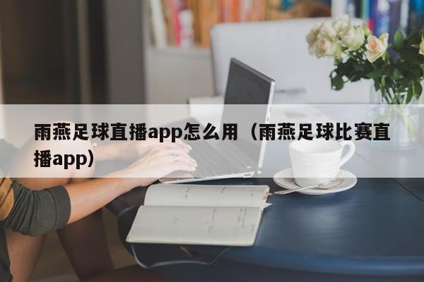 雨燕足球直播app怎么用(雨燕足球比赛直播app)